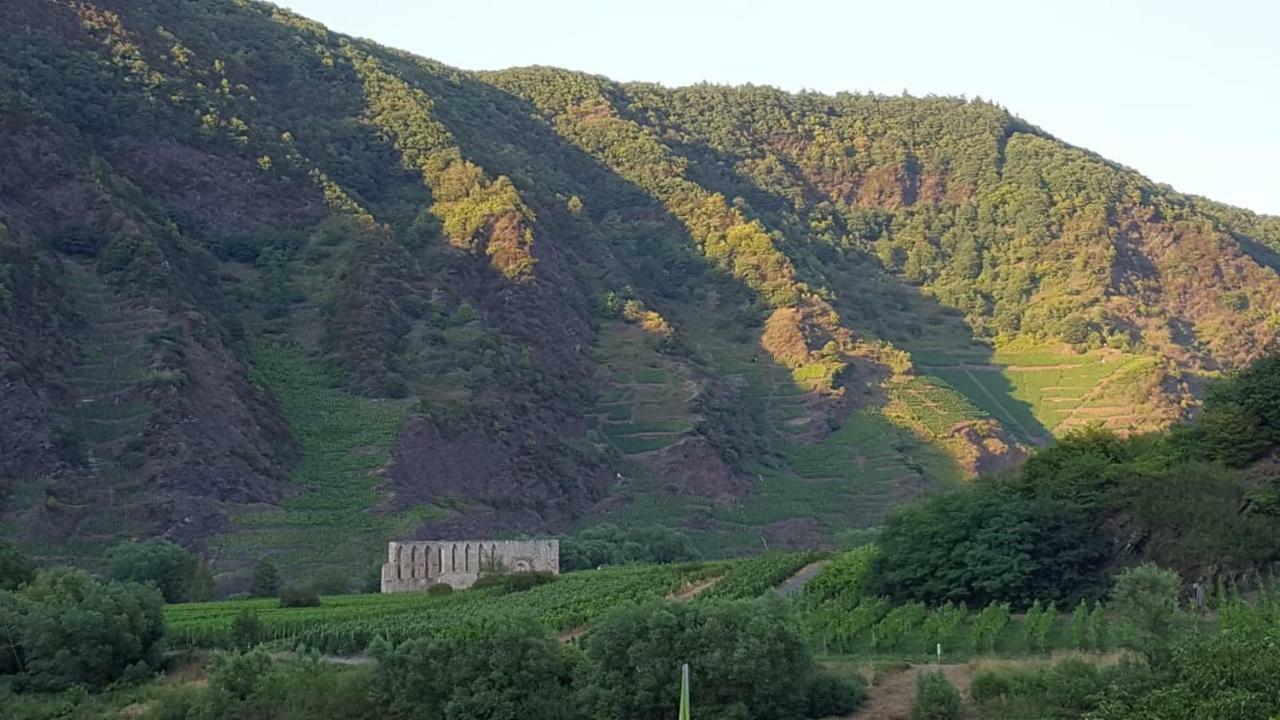 Zur Koenigslay Villa Bullay Exterior photo